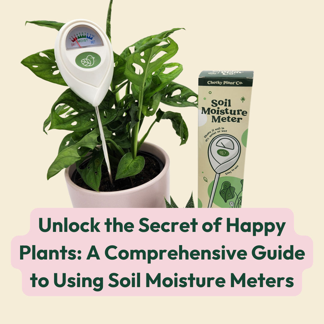 Unlock the Secret of Happy Plants: A Comprehensive Guide to Using Soil ...