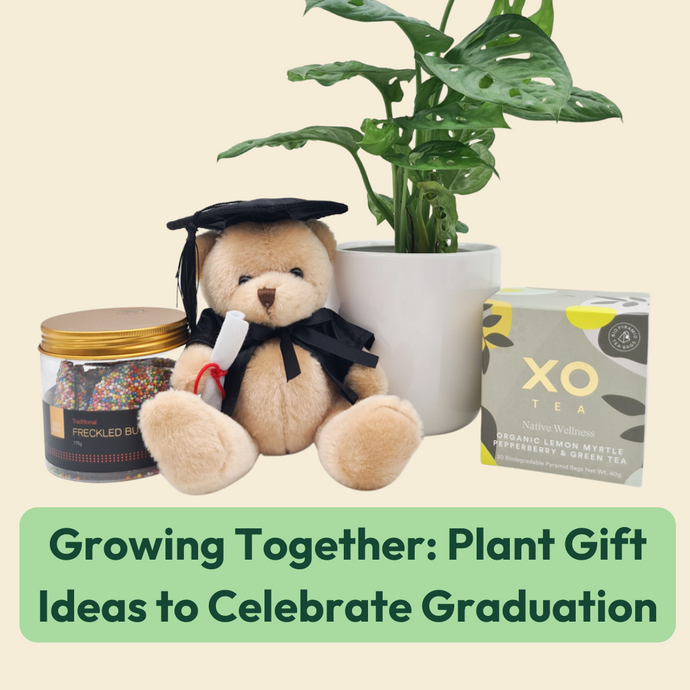 Growing Together: Plant Gift Ideas to Celebrate Graduation