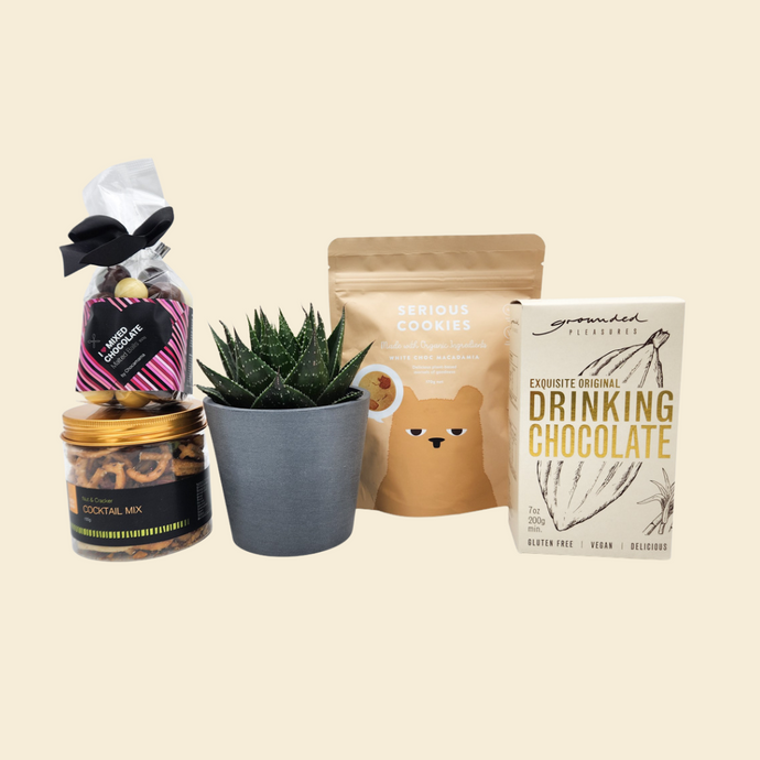 Nurturing Wellness: Employee Plant Gifts for Home and Office