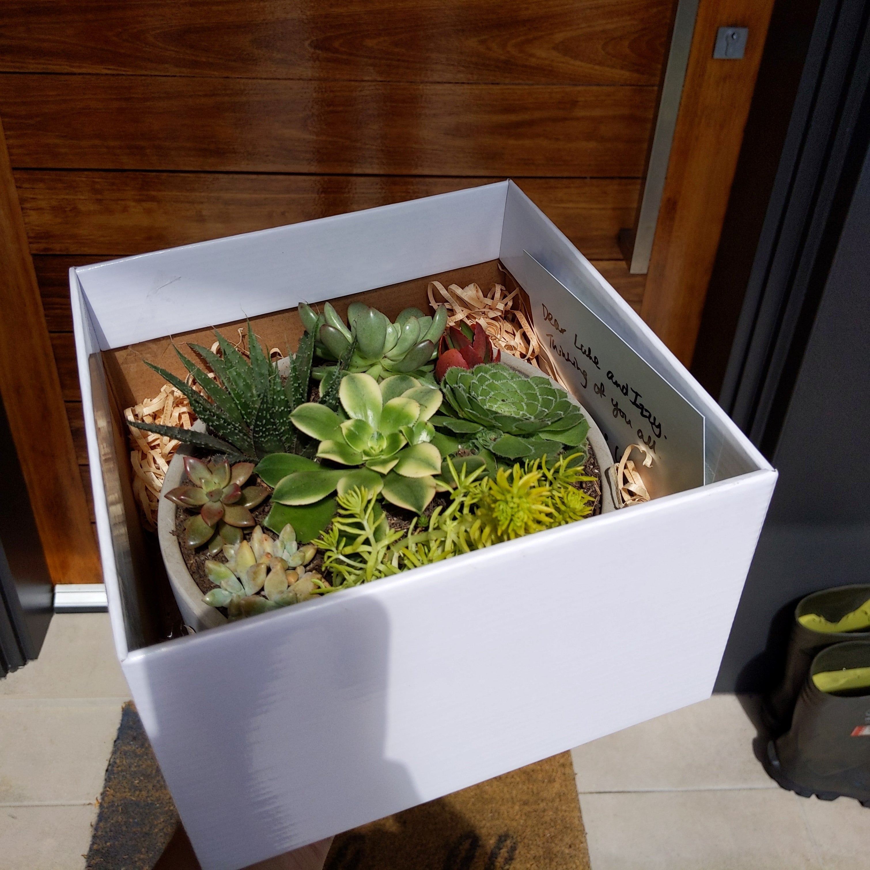 ダイヤモンドアートクラブ Plant Delivery maxresdefault.jpg