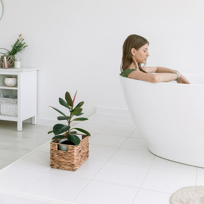 Six Best Indoor Plants for Your Bathroom