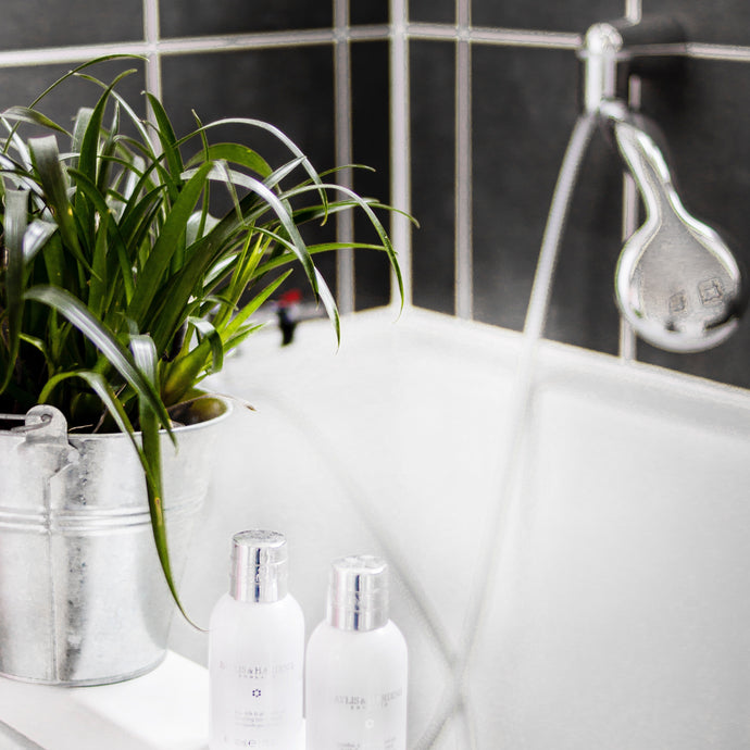 Five Best Bathroom Plants That Love Humidity