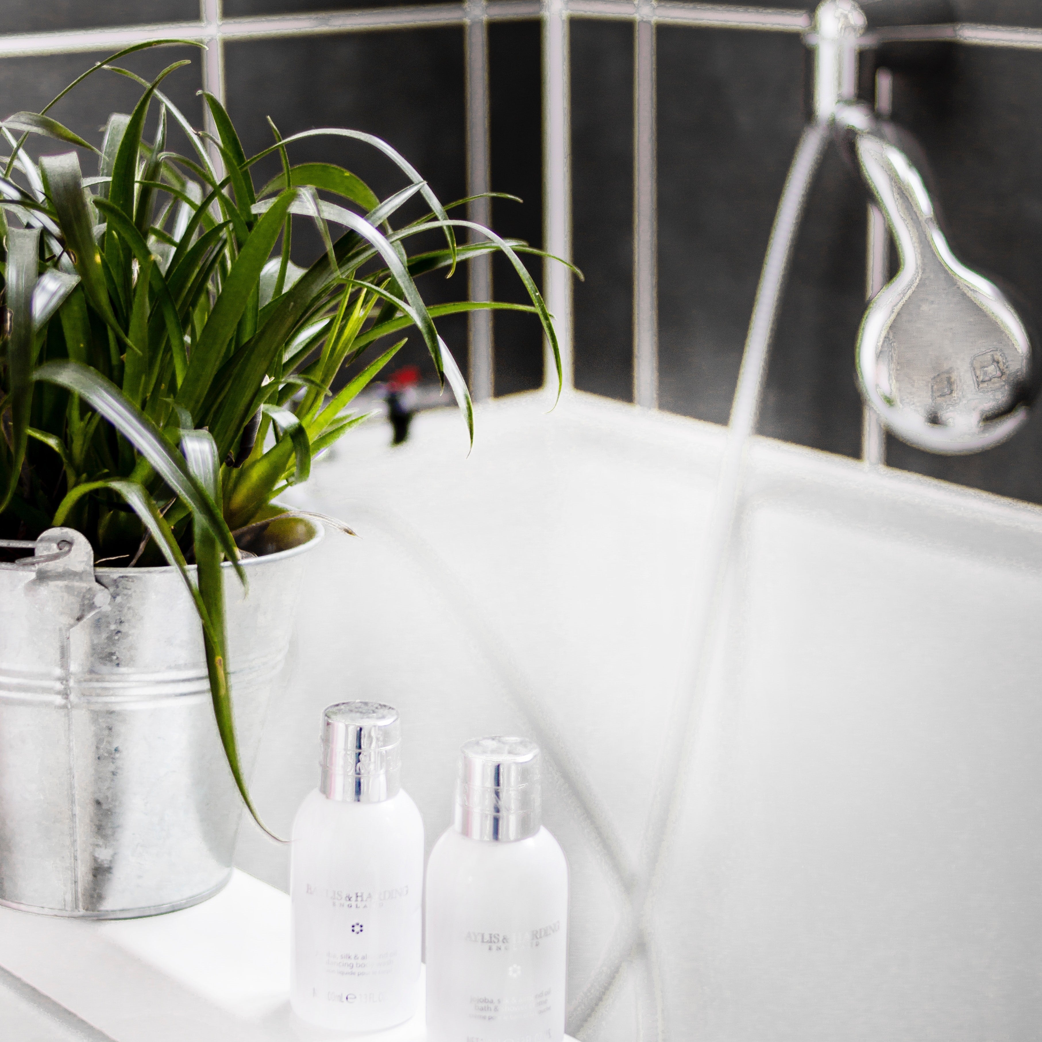 Bathroom plants that absorb moisture