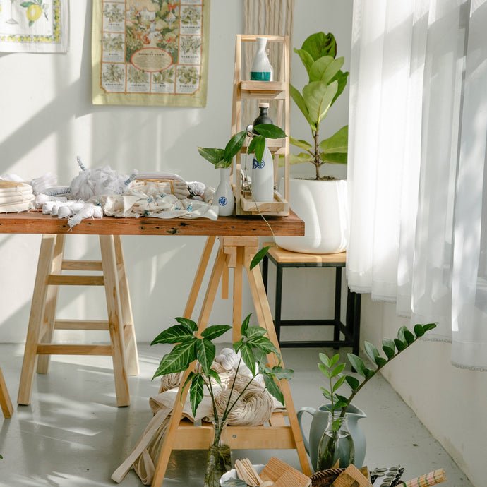 How to Find the Best Light for Houseplants