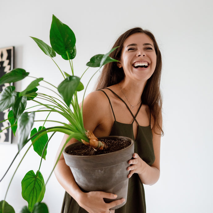 How To Keep Your Indoor Plants Alive