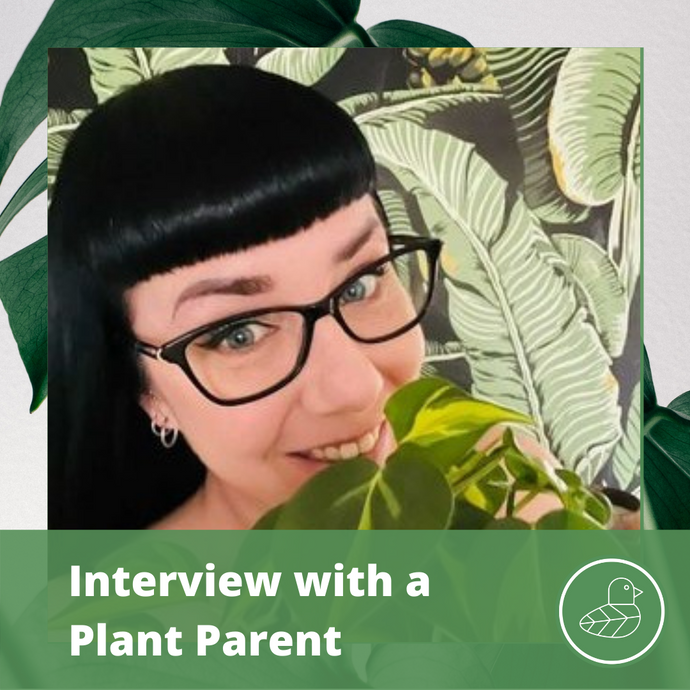 Interview with a Plant Parent: Ally