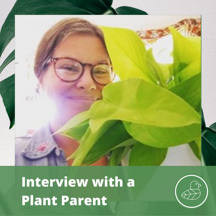 Interview with a Plant Parent: Amber