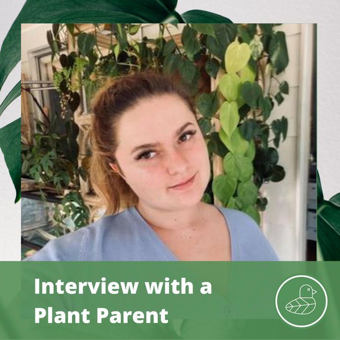 Interview with a Plant Parent: Claudia