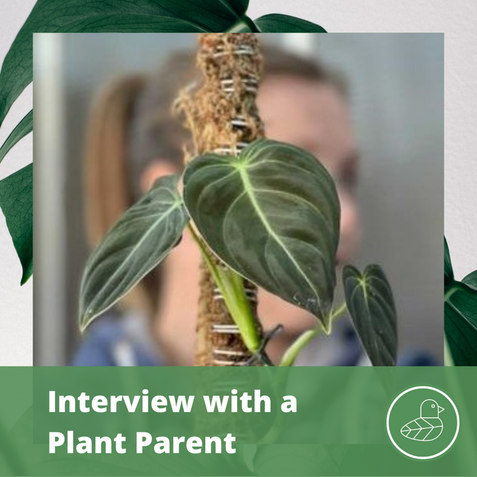 Interview with a Plant Parent: Kellie