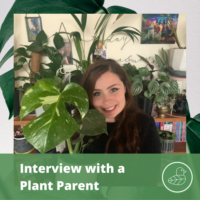 Interview with a Plant Parent: Lana