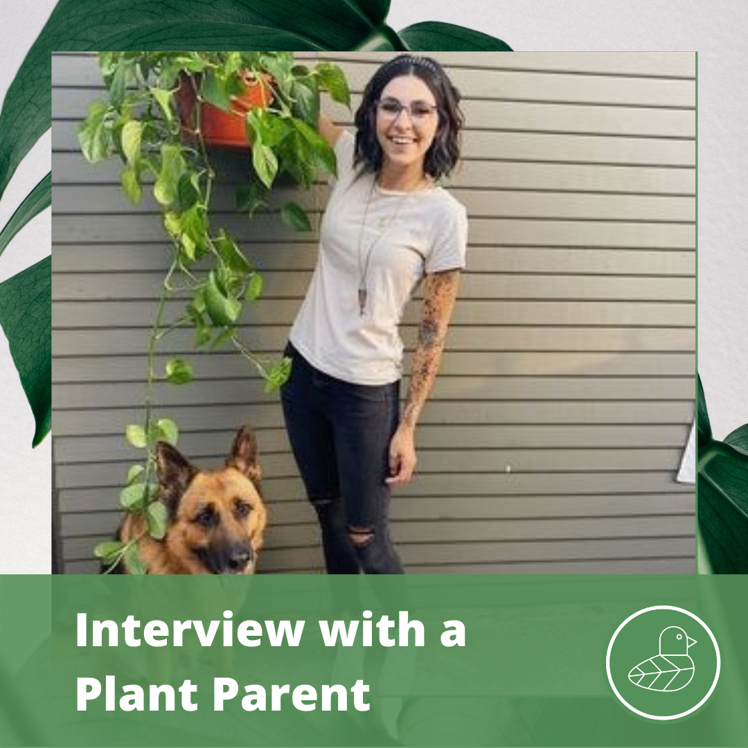 Interview with a Plant Parent: Liz – Cheeky Plant Co.