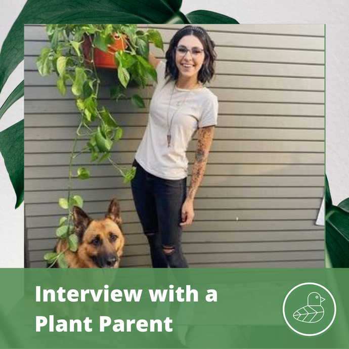 Interview with a Plant Parent: Liz