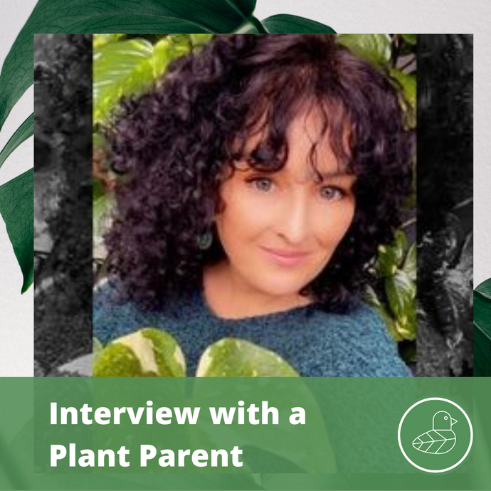 Interview with a Plant Parent: Natalie