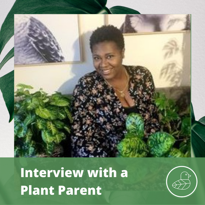 Interview with a Plant Parent: Peaches