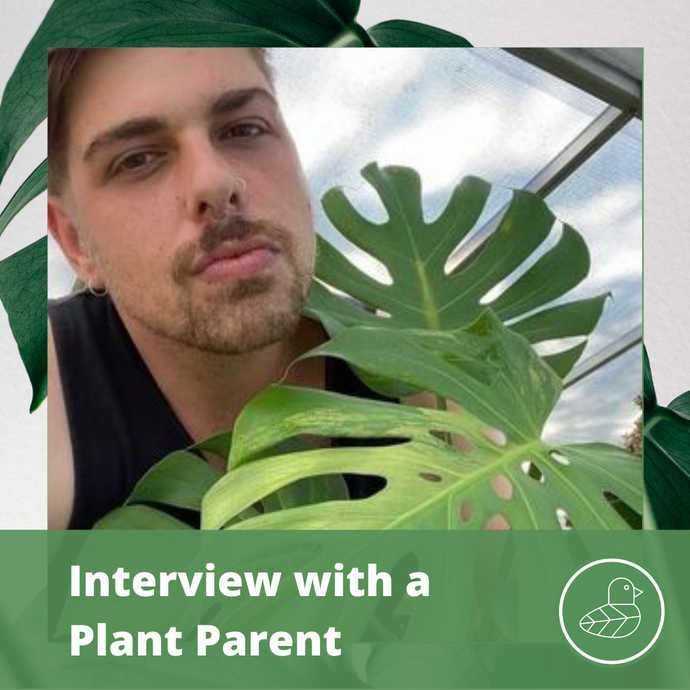 Interview with a Plant Parent: Teddy