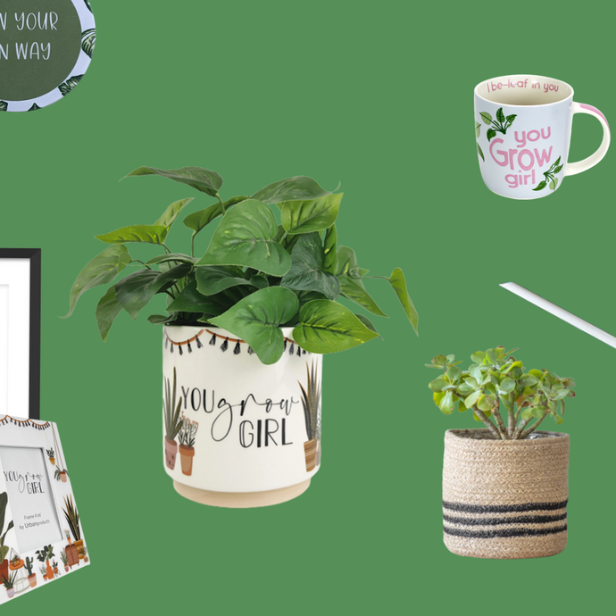 📢 News - 1 April 2022 - Plant Homewares!