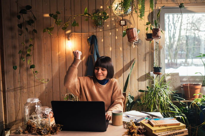 How To Style Your Hanging Plants For A Stunning Indoor Garden