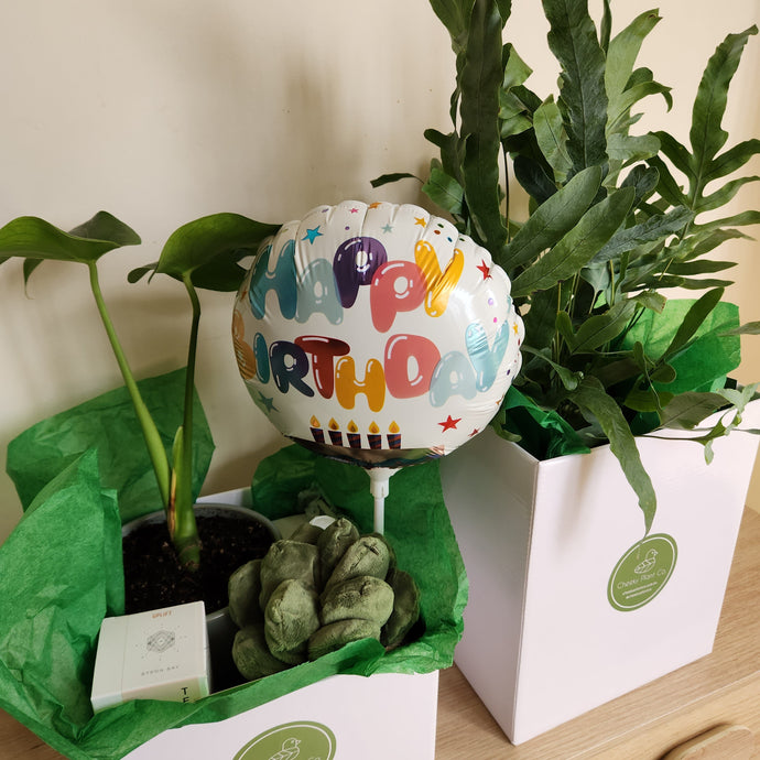 Sending Plant Gifts as Birthday Gifts