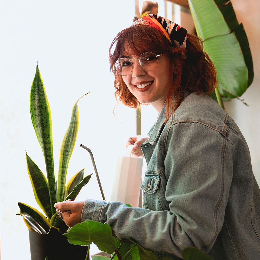 Why House Plants Are Good for Your Mental Wellbeing Cheeky Plant Co.