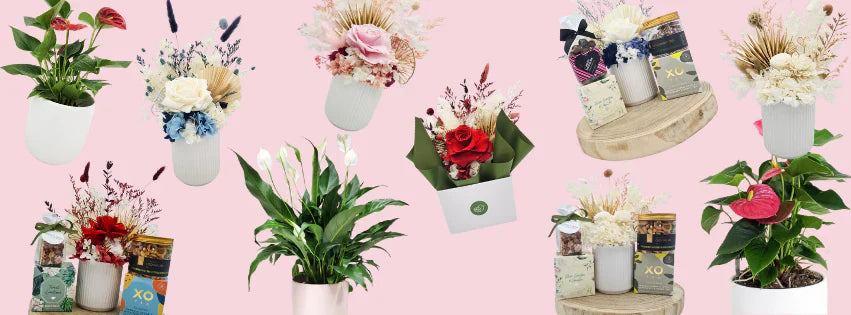 Dried Flower Arrangements & Bouquets
