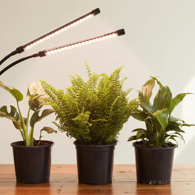 Grow Lights