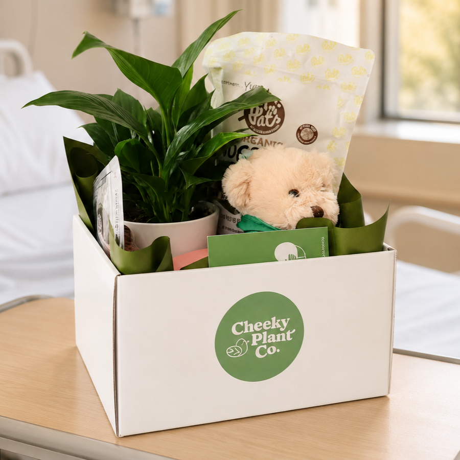 St George Private Hospital Flower Delivery