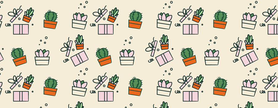 Succulent Gift Boxes