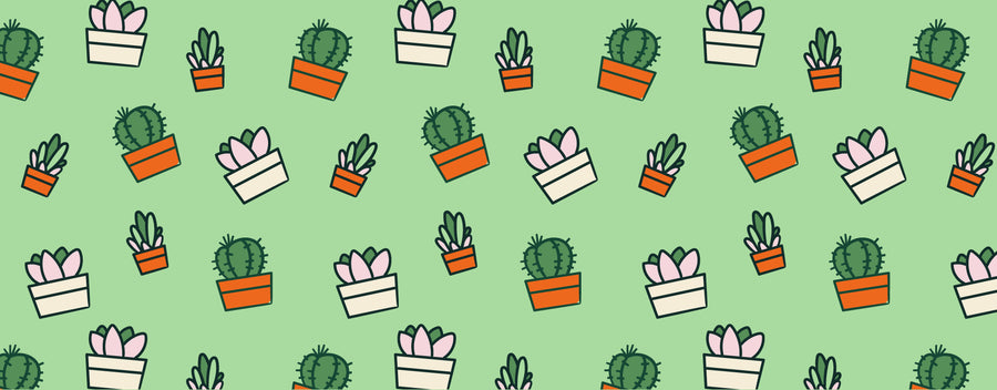 Succulent Plants & Cacti