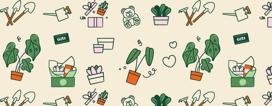 Send Gifts to Australia