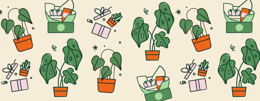 Gift Hampers Sydney