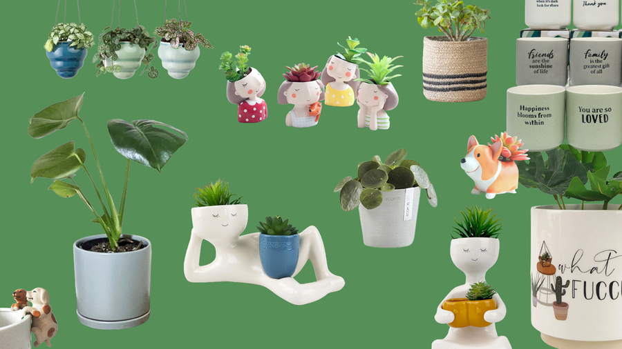 Unique Pots & Planters