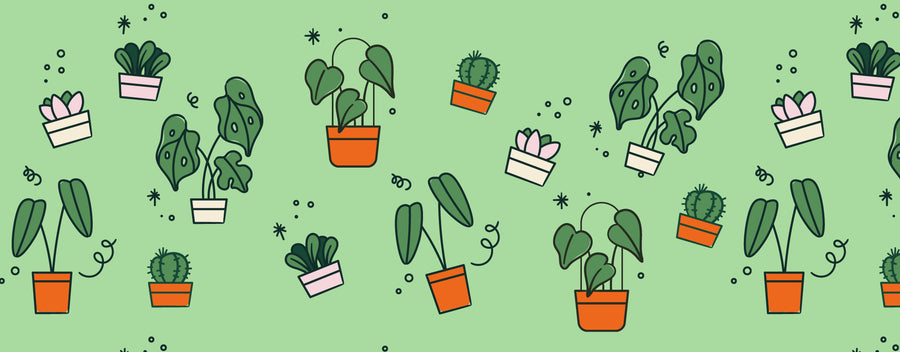 All Plants