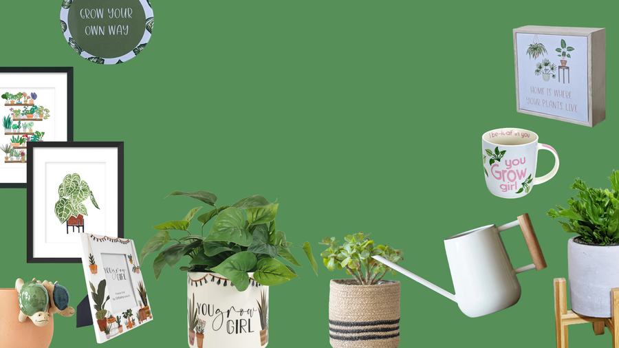 Plant Homewares