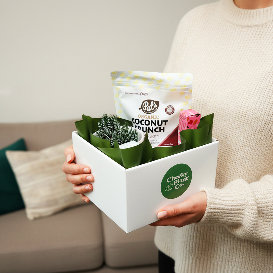 Same Day Plant Delivery in Sydney