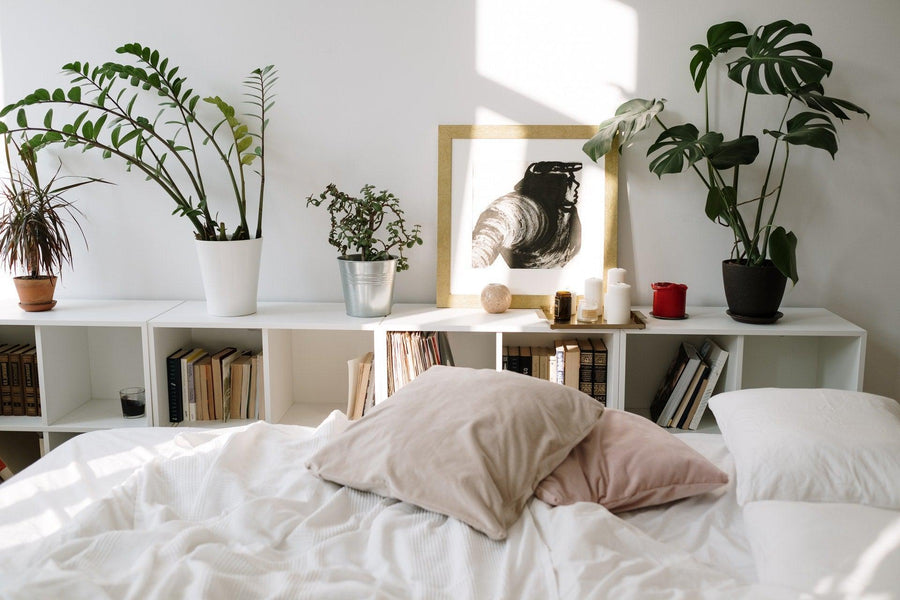Bedroom Plants