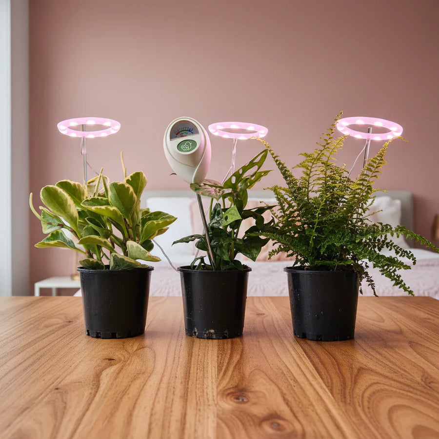 Grow Lights for Indoor Plants
