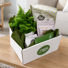 Load image into Gallery viewer, Loving You - Plant Gift Hamper - Sydney Only
