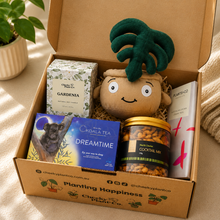 Load image into Gallery viewer, Self Care Plushie Gift Box
