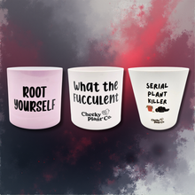 Load image into Gallery viewer, Plant Drama - Pot Bundle
