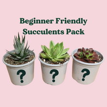 Load image into Gallery viewer, Beginner Friendly Succulents Pack (3 Assorted Succulents) - 100mm
