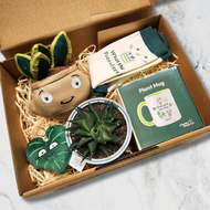 Plant Lovers - Succulent Gift Box