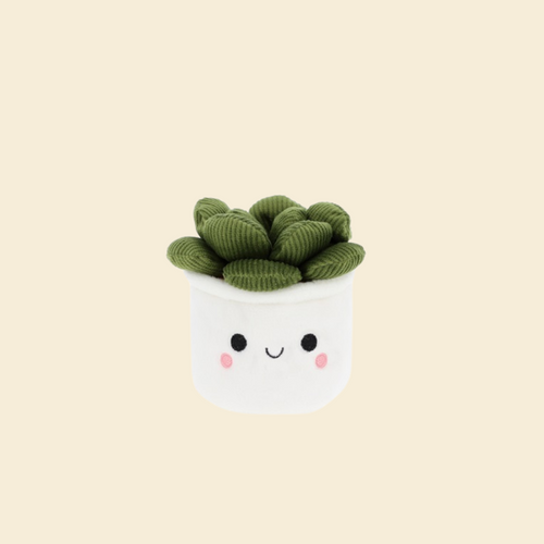 Mini Plant Plushie - Succulent