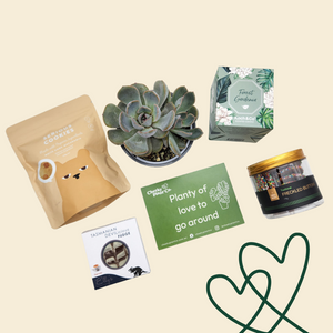 Planty of Love to Go Around - Cheeky Gift Box