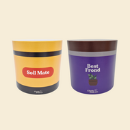 Best Mates Pot Pack - Cheeky Plant Co. Pots - 12.5cmD x 12cmH