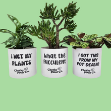 Load image into Gallery viewer, Trio Pack - Funny - Cheeky Plant Co. Pots - 12.5cmD x 12cmH
