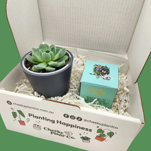 Load image into Gallery viewer, Tea &amp; Succulent Gift Box
