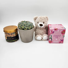 Load image into Gallery viewer, Memorial Gift Hamper Box with Succulent
