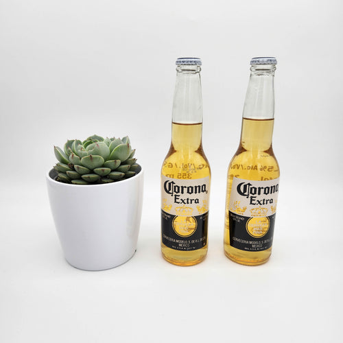 Don't Worry Beer Happy - Thinking of You Gift with Assorted Succulent - Sydney Only