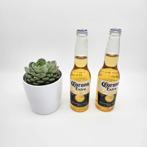 Don't Worry Beer Happy - Thinking of You Gift with Assorted Succulent - Sydney Only