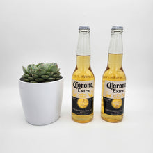 Load image into Gallery viewer, Don&#39;t Worry Beer Happy - Thinking of You Gift with Assorted Succulent - Sydney Only
